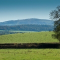 B&B Church Stretton Shropshire